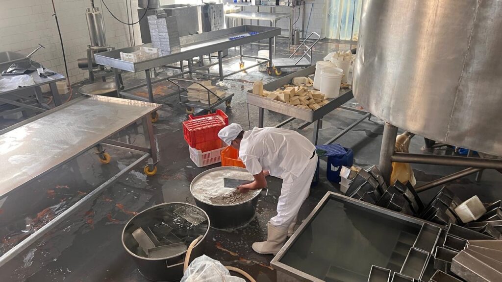 Innovación en productos RODY 2010