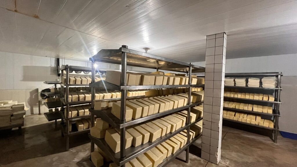 Planta de producción RODY QUESOS