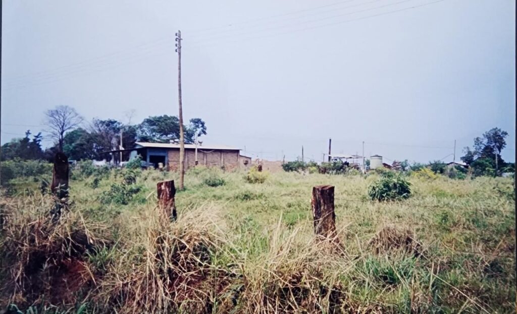 Fundación de RODY QUESOS en 1997