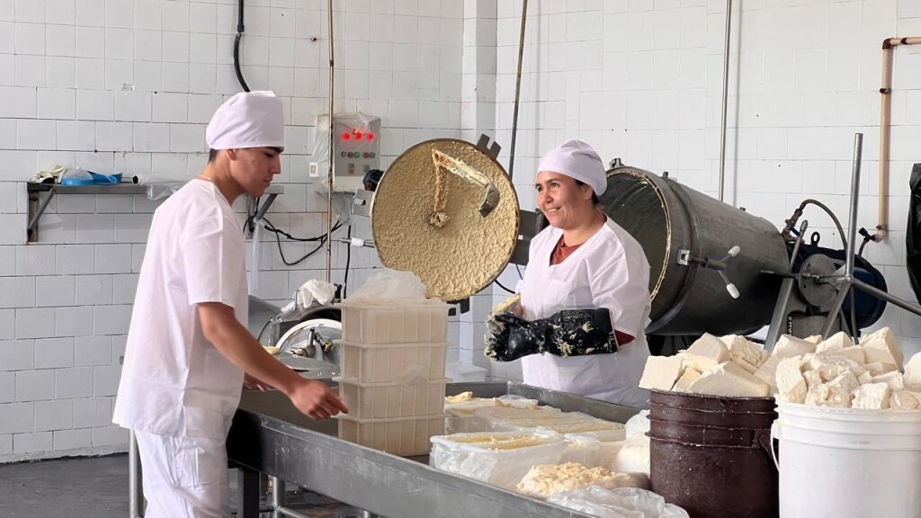 Compromiso sostenible RODY 2015